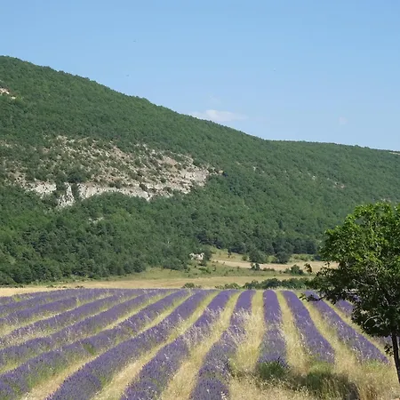 Dortoir La Guarrigue * La Rochegiron